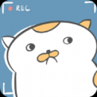 主播和猫的故事游戏最新版