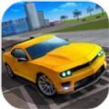 特技汽车驾驶模拟(Car Driving Simulator)