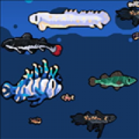模拟水族馆游戏手机版
